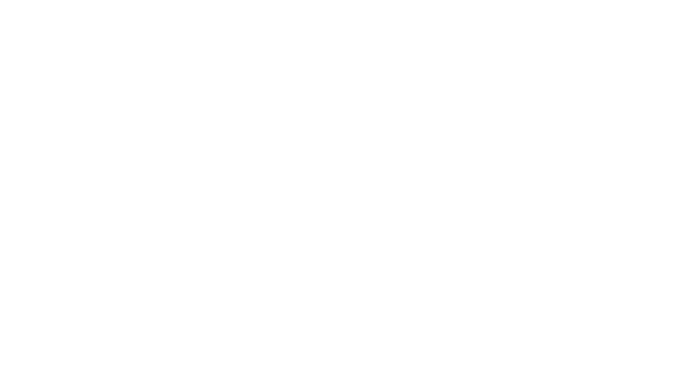 Camelot Secure
